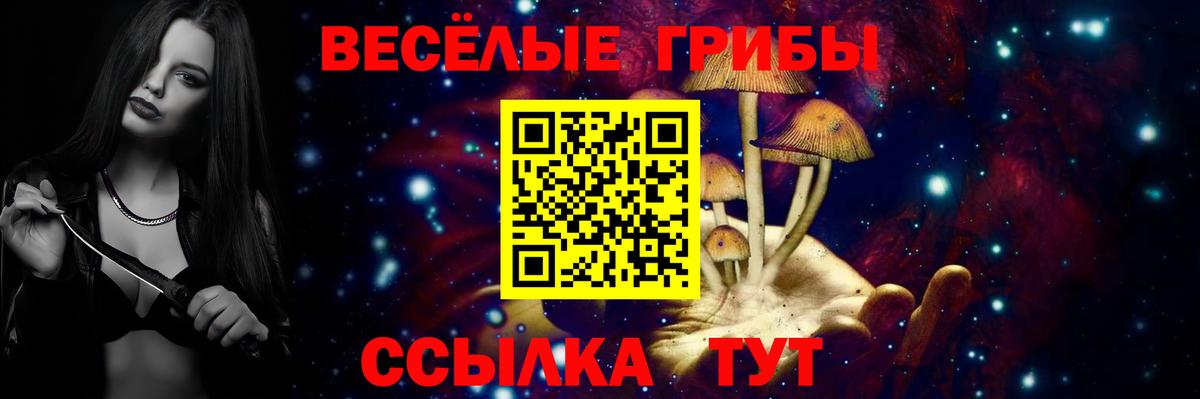 Ртищево  Галлюциногенные грибы мухоморы  Галлюциногенные грибы MAGIC MUSHROOMS  где купить   Вход с VPN 